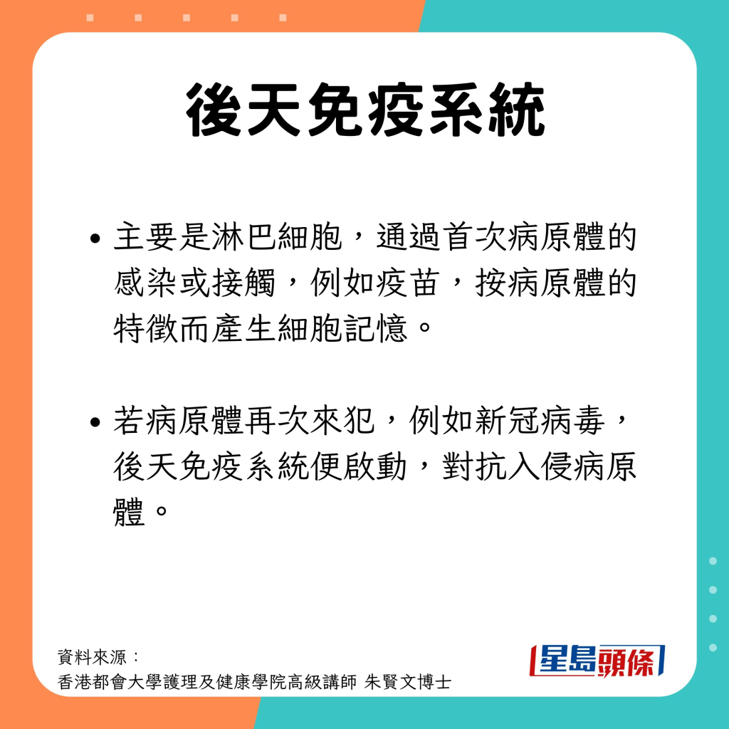 後天免疫系統運作 淋巴組織