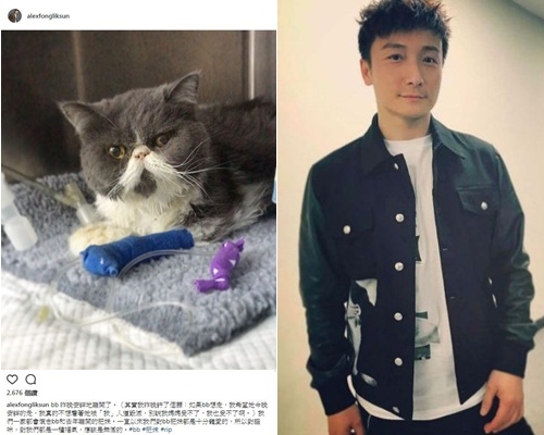小方貼文悼念愛貓bb。