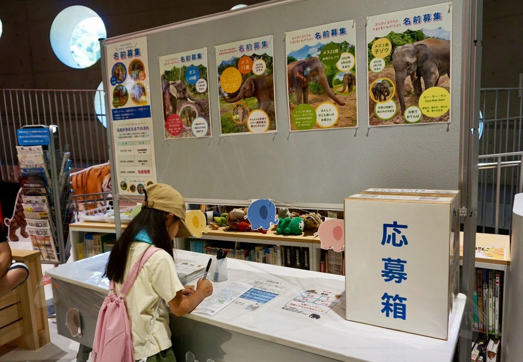 大象是福岡動物園其中一種最受歡迎的動物。Ｘ