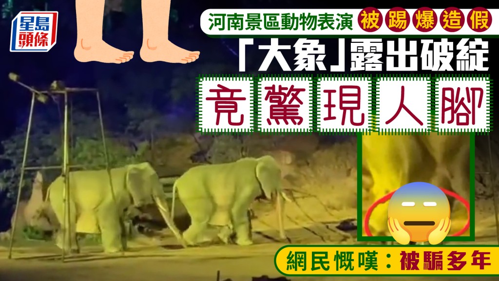 河南景區「大象」表演驚現人腳  網民：騙我多年！
