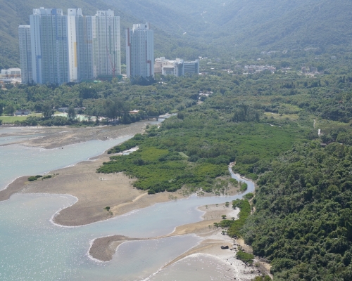 綠色力量調查發現，絕大部分受訪市民認為東涌具備發展生態旅遊的資源。 綠色力量提供
