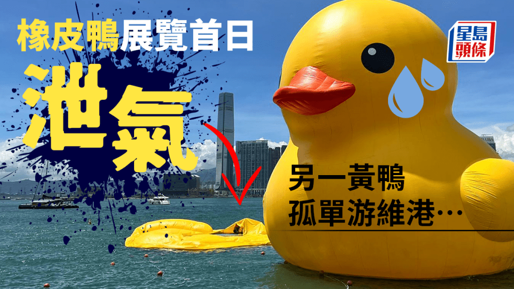 橡皮鴨展覽首日即泄氣，另一黃鴨「形單隻影」獨游維港。