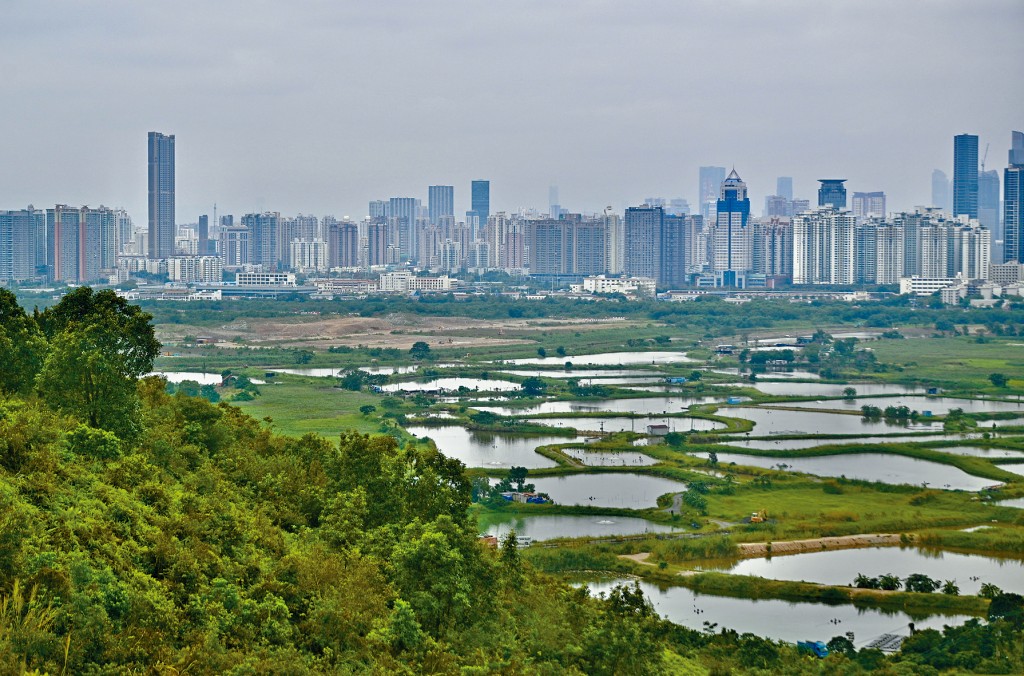 政府去年底公布香港《生物多樣性策略及行動計劃》2035，闡明未來10年本港保護自然生態和可持續發展的策略及行動綱領。