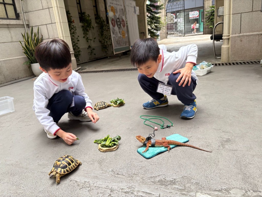 K2至K3的學生大使輪流當值,負責準備食物、餵食、洗澡和放養動物。 K2至K3的學生大使輪流當值,負責準備食物、餵食、洗澡和放養動物。