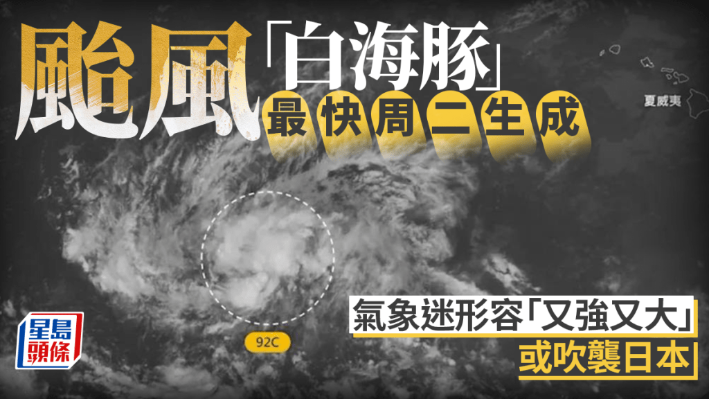 颱風「白海豚」最快周二生成  氣象迷指「又強又大」或撲日本