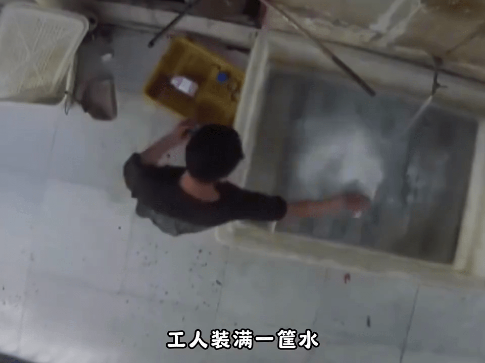 南京网红店被揭“草酸”洗小龙虾。 资料图 南京网红店被揭“草酸”洗小龙虾。 资料图