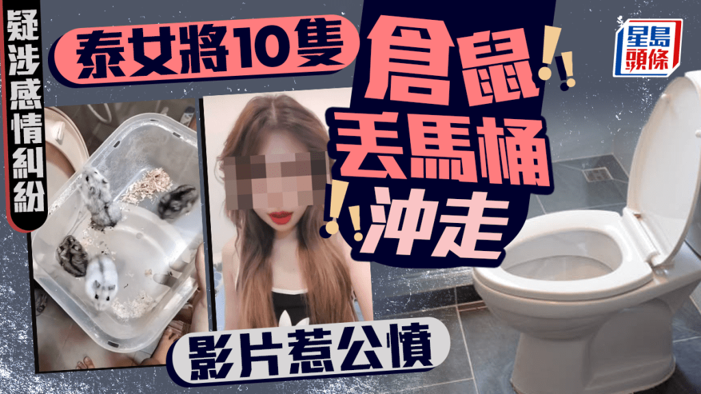 台泰籍女將10隻倉鼠沖馬桶惹公憤 涉殘忍虐待動物遭查 本尊竟咁解釋