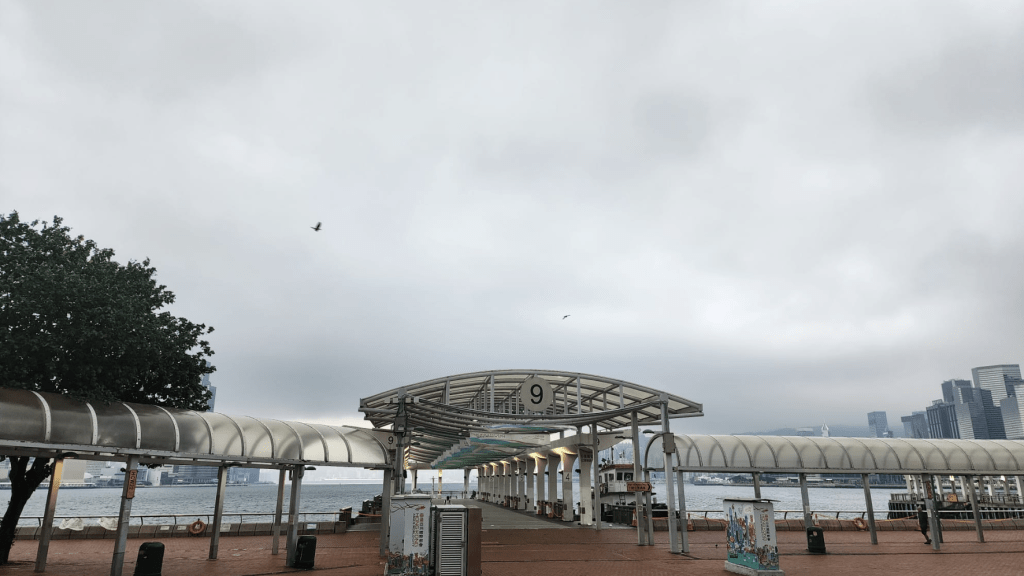 本港地區今日大致多雲及有幾陣驟雨，稍後驟雨較多。黎志偉攝