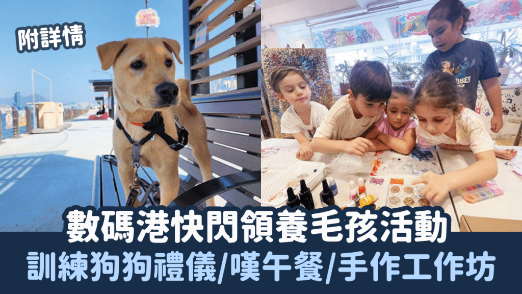 寵物好去處|數碼港快閃領養毛孩活動 訓練狗狗禮儀/嘆午餐/手作工作坊 附時間詳情