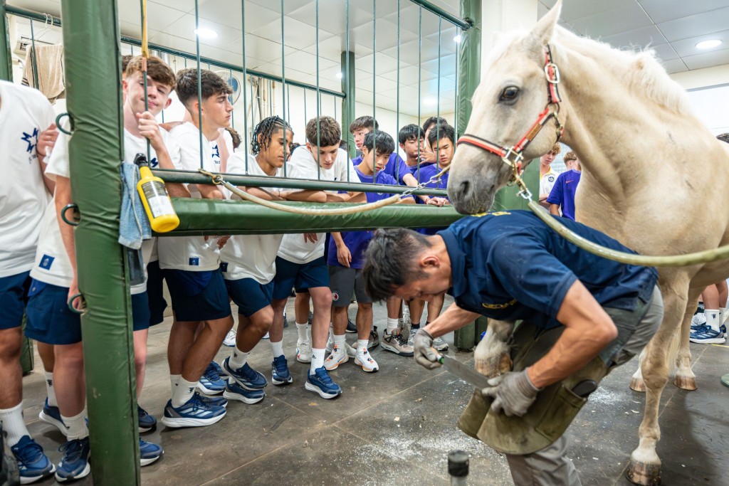 曼联16岁以下青年队周二参观马会屯门公众骑术学校，到访马房及观赏马术示范。