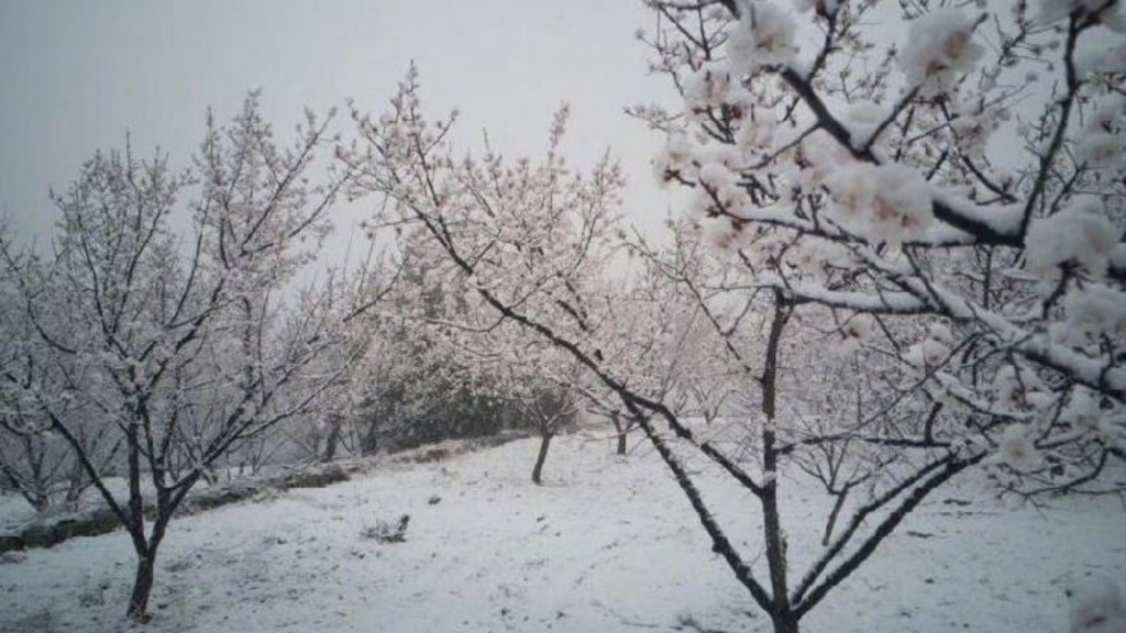 北京今晨發布暴雪藍色預警信號。網圖