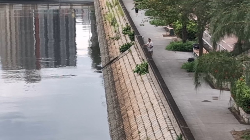 有釣友更帶同魚竿及捕魚網到場一展身手。網上片段截圖 有釣友更帶同魚竿及捕魚網到場一展身手。網上片段截圖