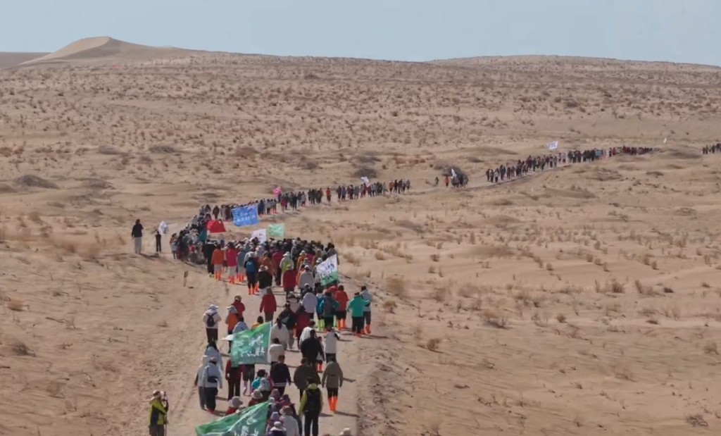 每年的民勤種樹活動，參加者也以女性義工為主。抖音＠小仲—沙漠變綠洲