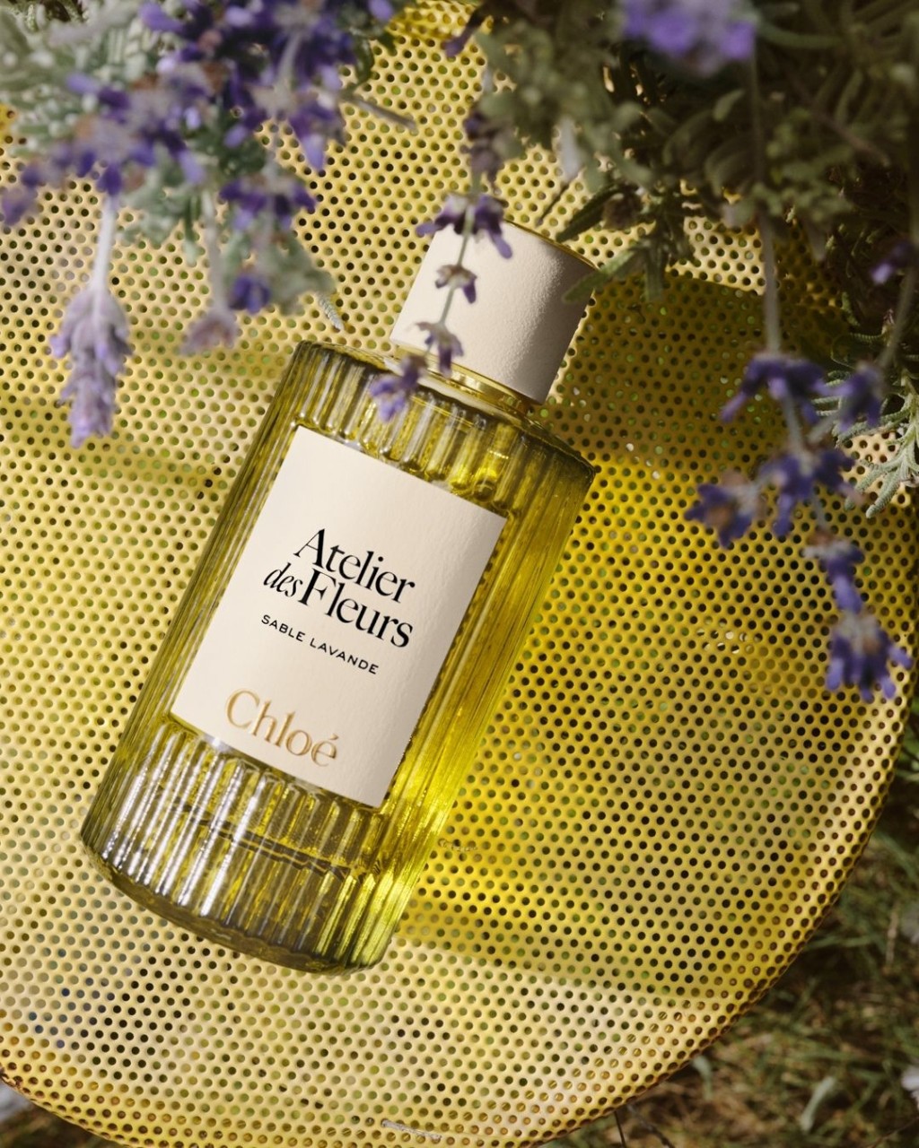 Chloé  Mediterranean Essences香氛 $1,105