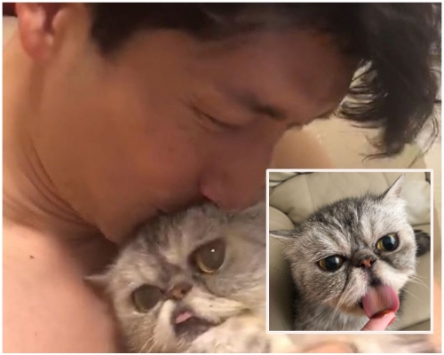 袁文傑的愛貓患不治之症。ig