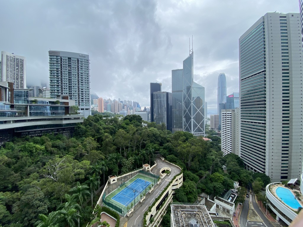 項目前臨香港公園，遠眺中環多幢標誌性建築。