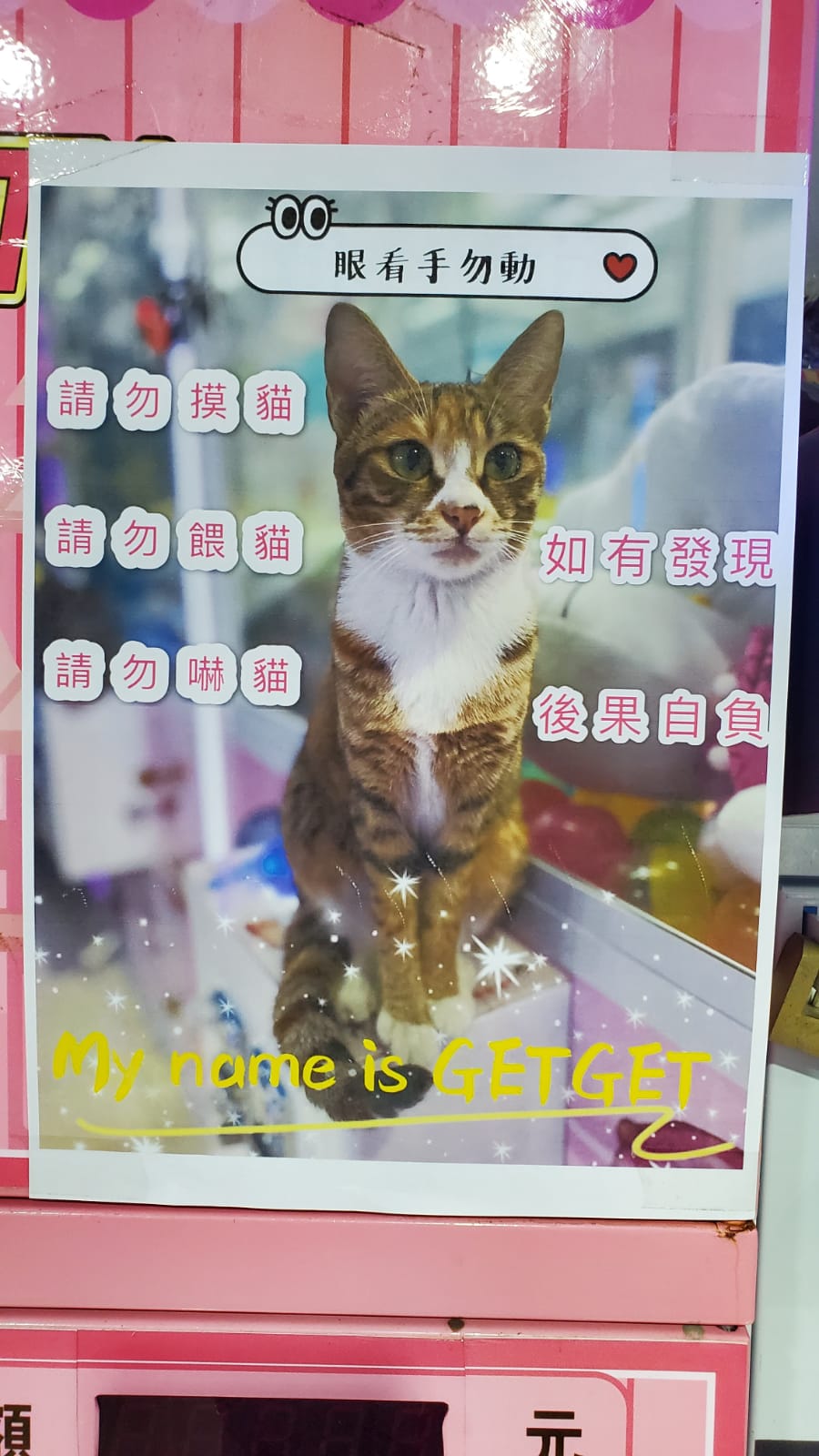 被盜竊看店貓的夾公仔店鋪。