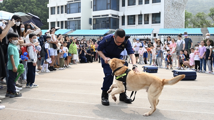 有參觀的小朋友尤其喜愛觀看搜查犬的表演。蔡建新攝