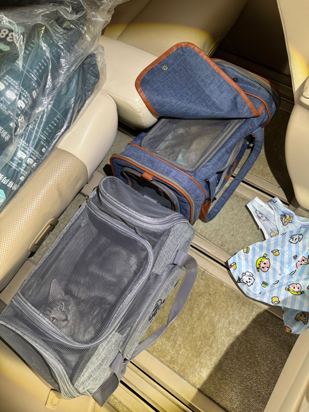 兩幼貓於私家車後排座位的兩個手提袋內被發現。