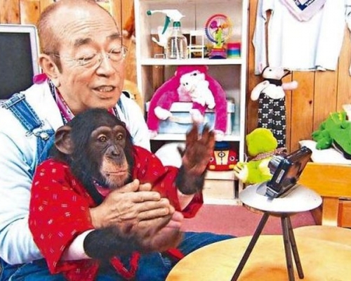 志村健傳需靠人工心肺機續命。資料圖片
