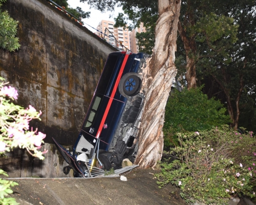 客貨車晾在樹上。