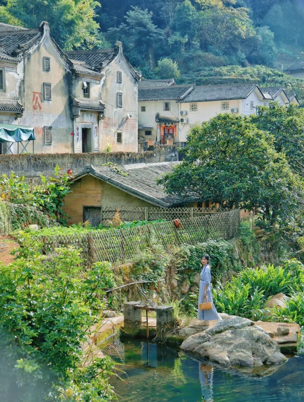 梅州旅游好去处2024｜1. 雁南飞茶田景区 400年历史的明代客家建筑古村桥溪村。（图片来源：小红书@小k同学toukuizi）