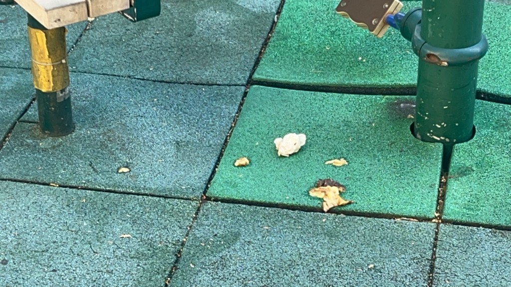地面遺下香蕉碎。