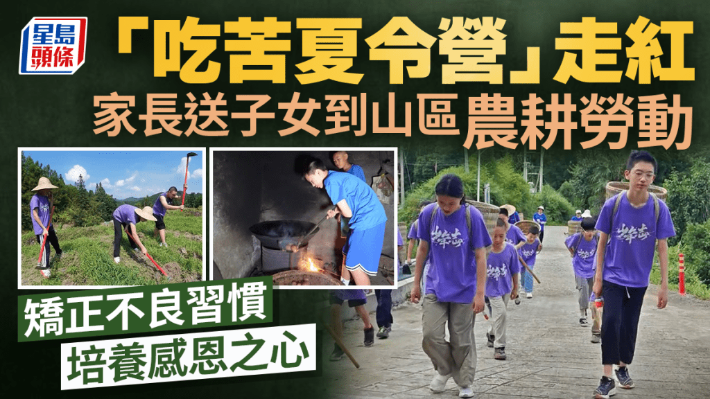 吃苦夏令營｜家長貼錢送仔女到農村砍柴餵豬  萬元感受勞動30日︱有片