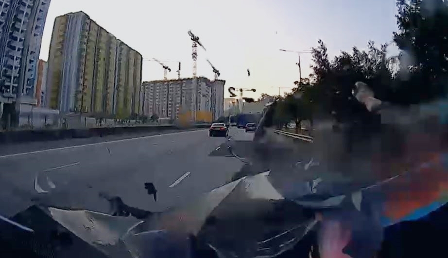 私家車駛至收制不及，直撞牛隻。網上影片截圖