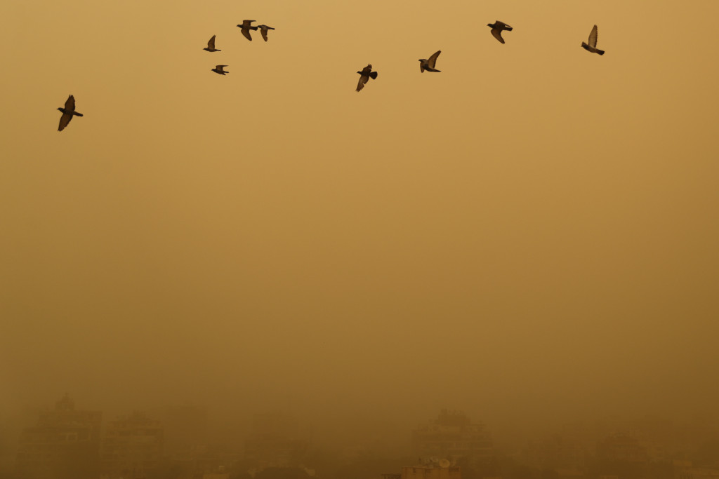巨大沙塵暴1日開始吹襲埃及首都開羅，造成最少1死5傷。  路透社