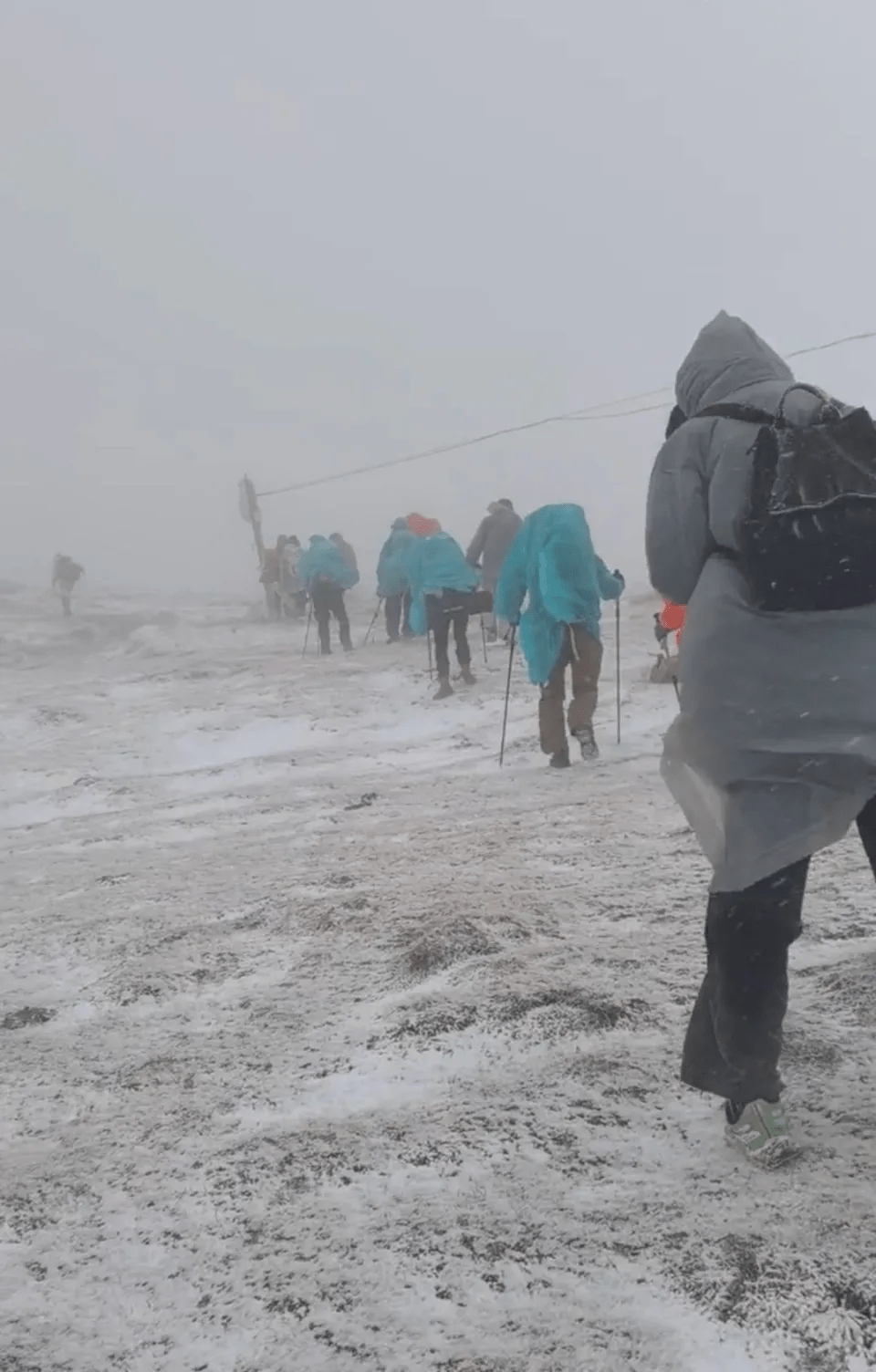 五台山五月飞霜，可不是一般的小雪。 极目新闻