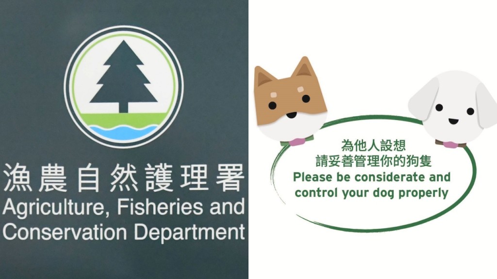元朗狗咬狗｜漁護署提5點建議 籲狗主時刻妥善管理愛犬