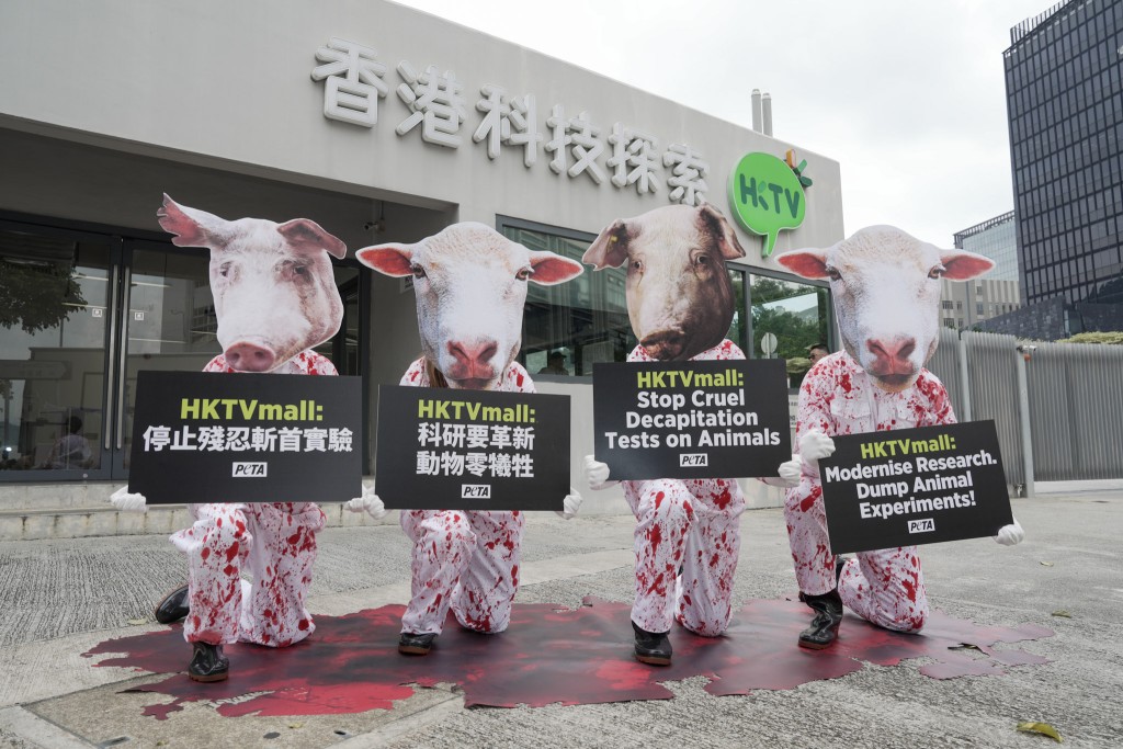 多名善待动物组织（PETA）支持者今日扮成身陷「血泊」的猪与绵羊，于香港科技探索（HKTVmall母公司）总部外示威。