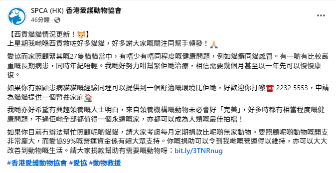 愛協今日在社交平台發文交代獲救貓隻的近況。