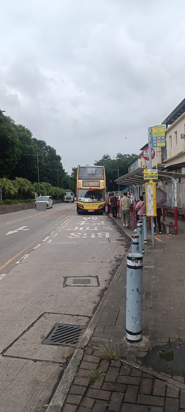 不少網民都見到巴士花車的真身。fb「皇后山乜都友」截圖