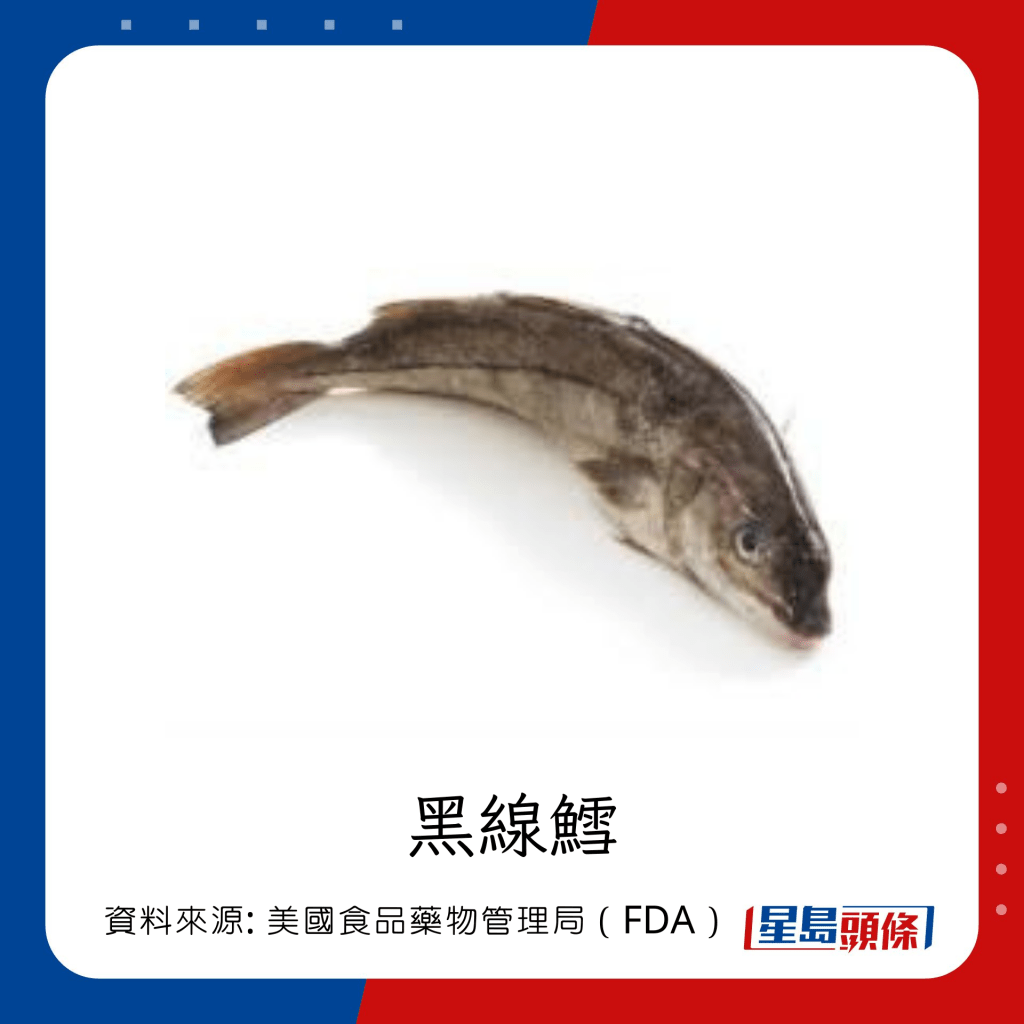 低水銀魚類 黑線鱈