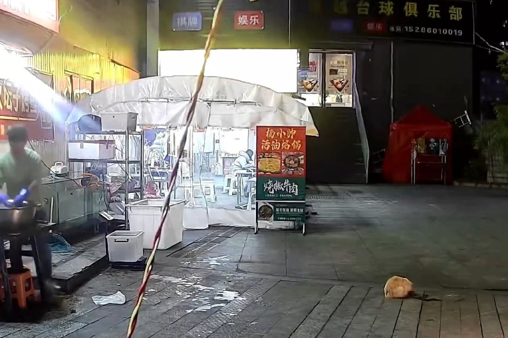 烤魚店老闆餵流浪貓期間，一個花盆突從天而降險。極目新聞