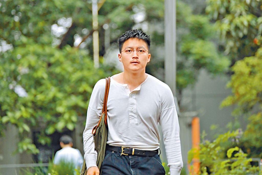 李予信指公民黨透過資深顧問撰寫通用立場。