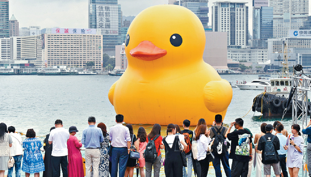 ■不少巿民到場賞鴨。