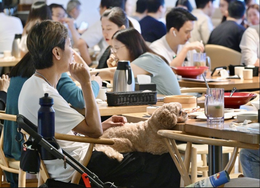 由7月9日開始，市民可攜帶狗隻進入領有准許牌照的食肆。