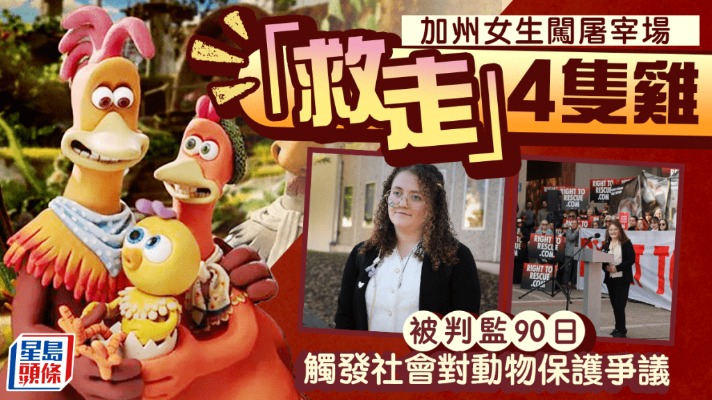 加州女大生屠宰場「救」4雞判囚90日  動保組織促改法