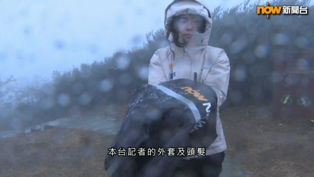 Now TV新闻女记者陈乐陶昨日（23日）清晨到大帽山做报道。