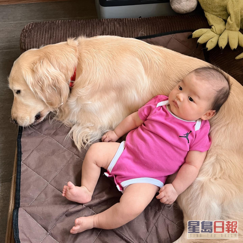 洪永城与梁诺妍的爱犬Molly一直陪住囡囡成长。