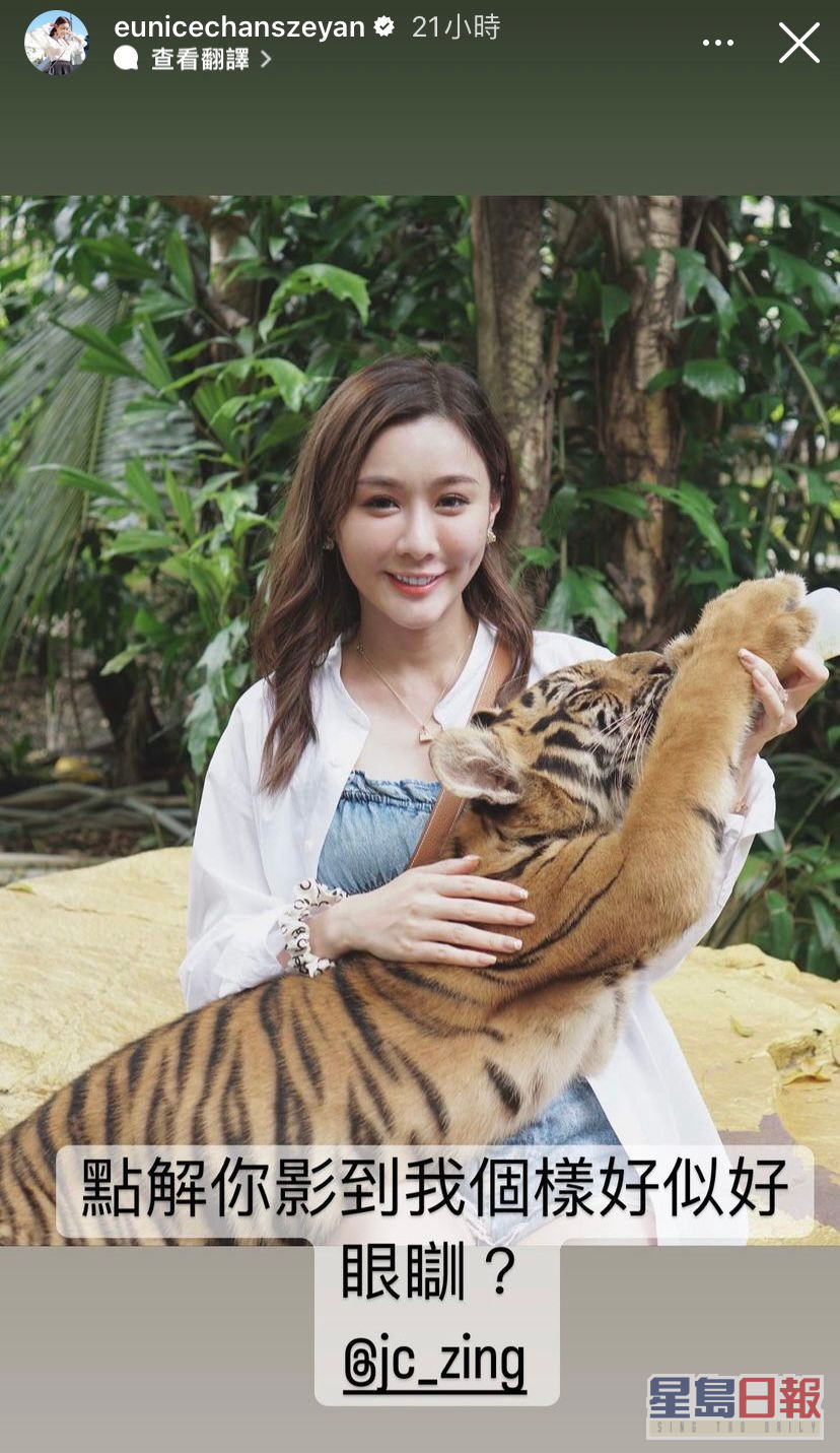 陈诗欣好大胆，抱住老虎合照。