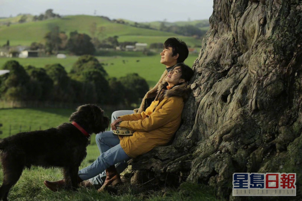 冯小刚2019年上映的电影《只有芸知道》在内地只收逾1.5亿人民币，仅是上一部《芳华》票房的约10分1，成绩大不如前。