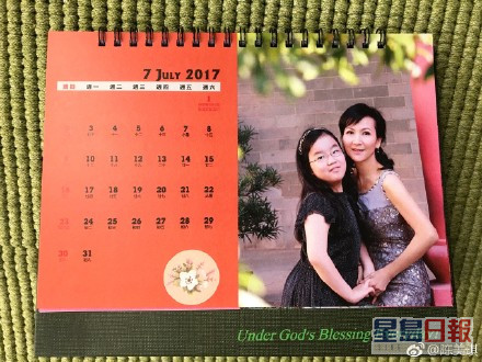 陳美琪早年出書《給女兒Lulu的信》撰寫母女生活點滴，又以二人照片製成月曆送給朋友。