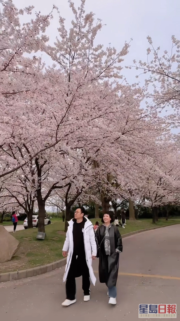 黎耀祥與太太Julia拖實手仔漫步櫻花樹下。