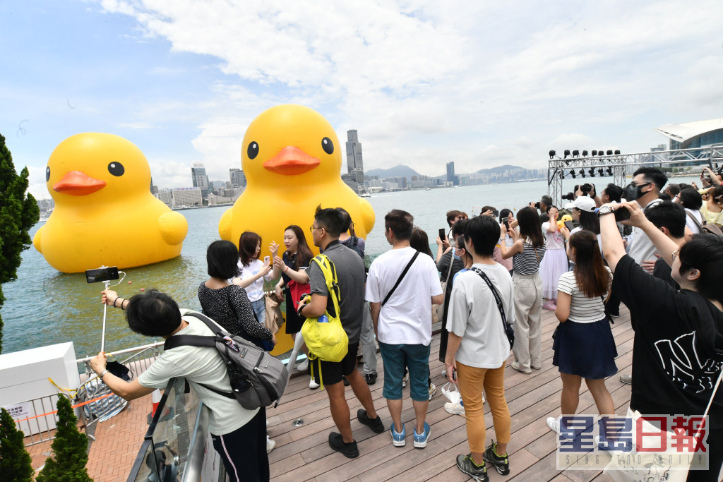 兩隻巨型黃色「橡皮鴨」今早仍於中環海濱供市民參觀。禇樂琪攝