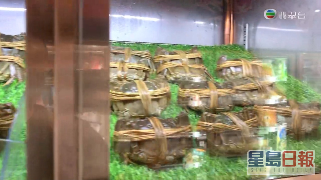 市面上仲有啲铺头声称出售正宗阳澄湖大闸蟹，但其实依家已经冇阳澄湖养殖嘅大闸蟹。