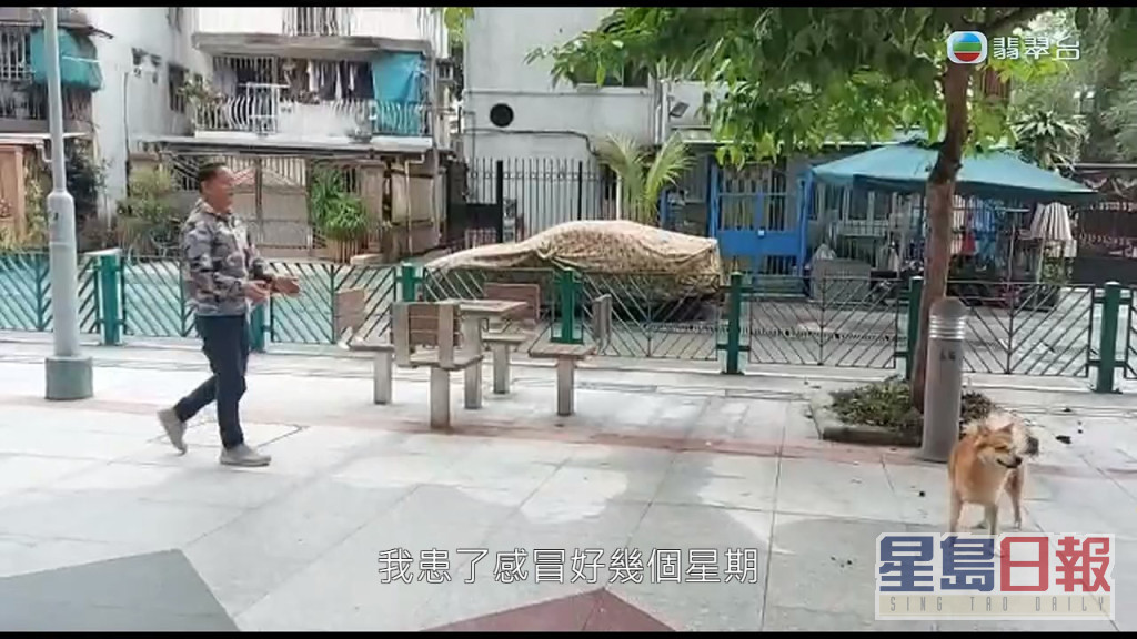 而吴大强与爱犬互动时缓步跑跳都没有问题。